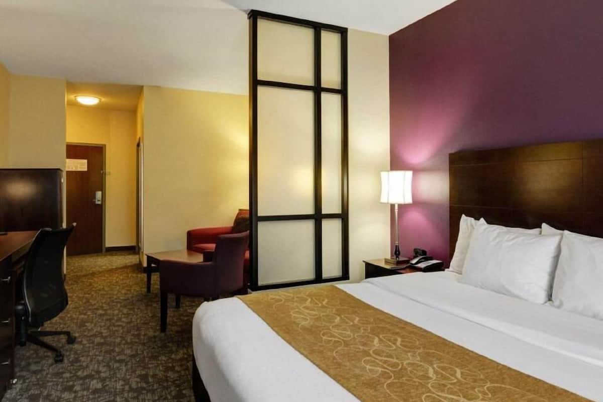 A hotel room with a bed, a desk, a chair, a nightstand with a lamp, and a large window.