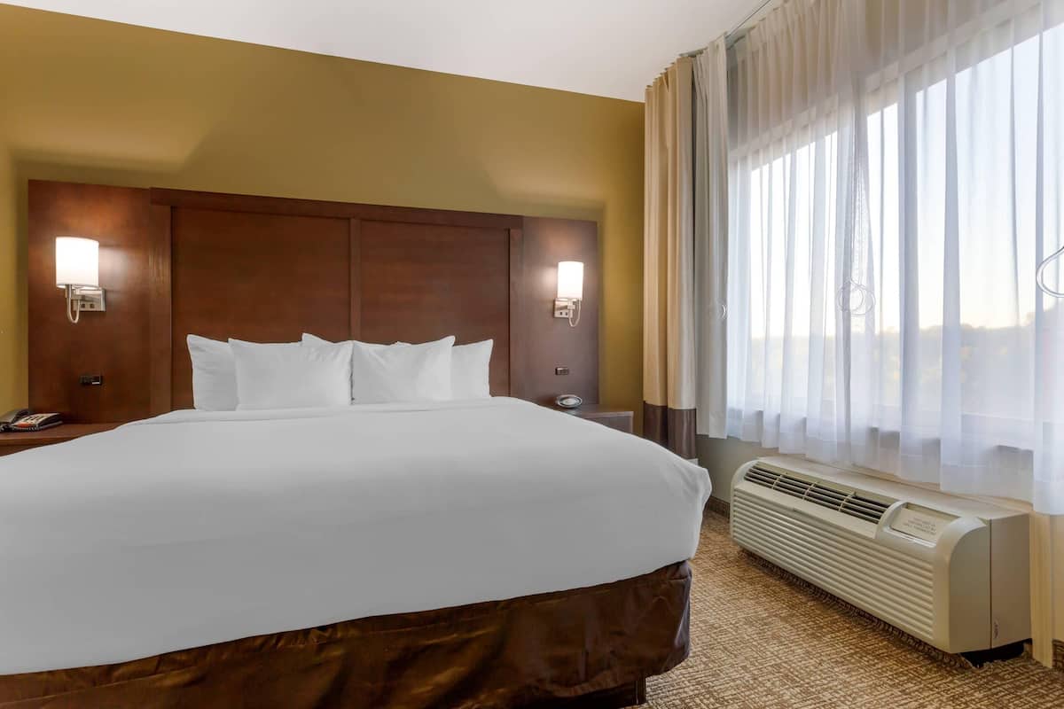 Premium bedding, desk, laptop workspace, blackout curtains