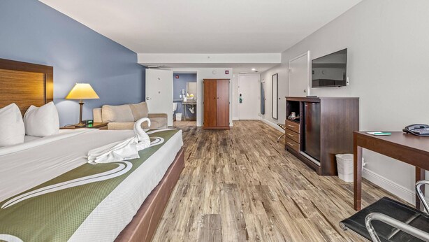 A hotel room with a bed, a desk, a chair, a television, and a bathroom visible through an open door. - Quality Inn & Suites Tampa near Fairgrounds and Casino (Tampa)