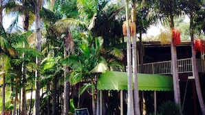 A tropical setting with tall palm trees and a green canopy structure. - Kaloha Holiday Resort (Cowes)