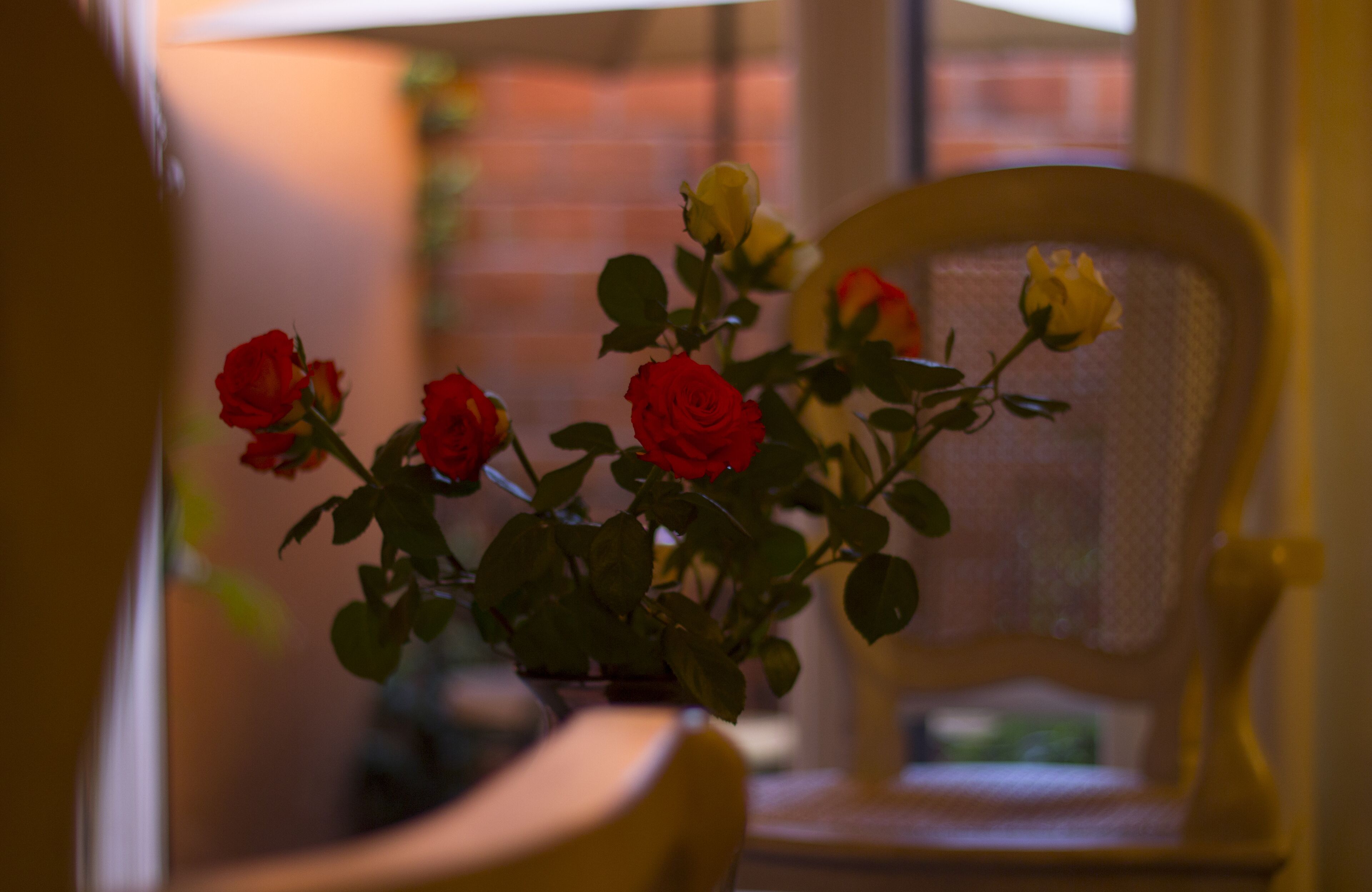 room (la rosa) | 1 bedroom, in-room safe, individually decorated, individually furnished