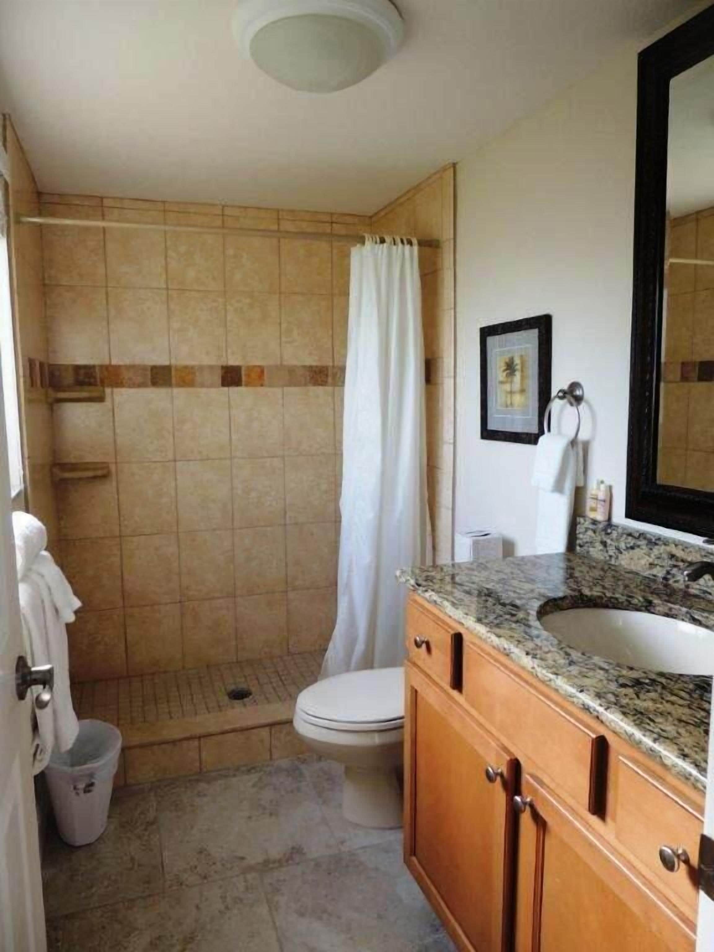 A bathroom with a shower, toilet, sink, and vanity.