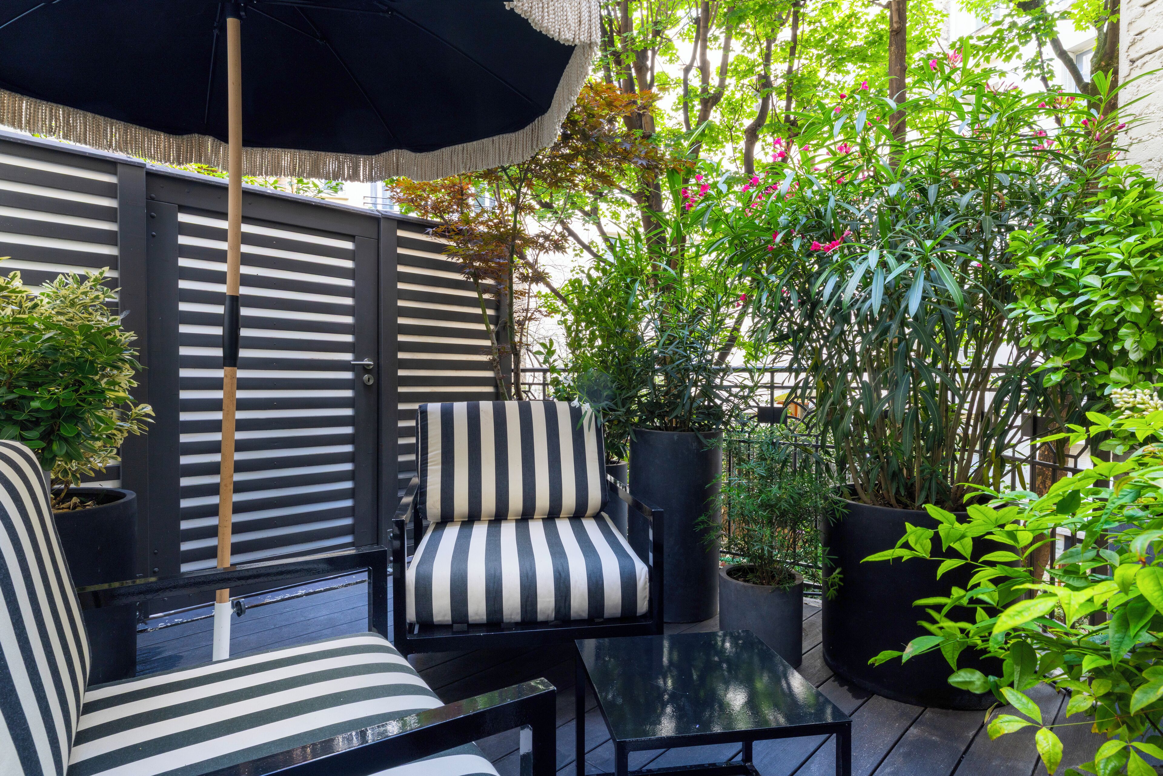 superior room, terrace | terrace/patio