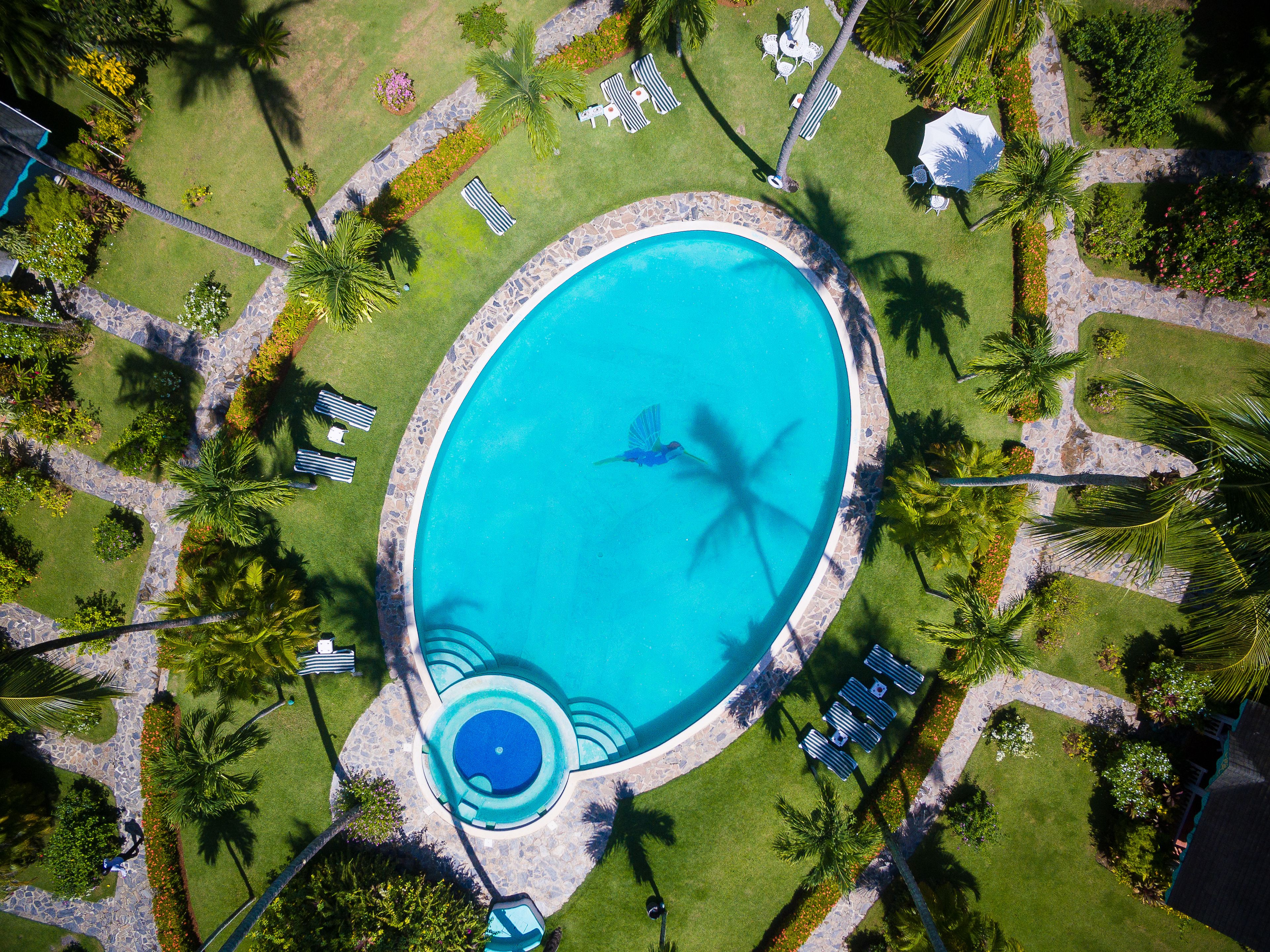 Vista aérea de una piscina rodeada de palmeras, sillas de descanso y un camino de piedra.