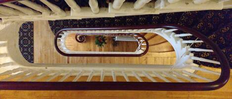 Una escalera de madera con barandilla blanca y alfombra estampada.