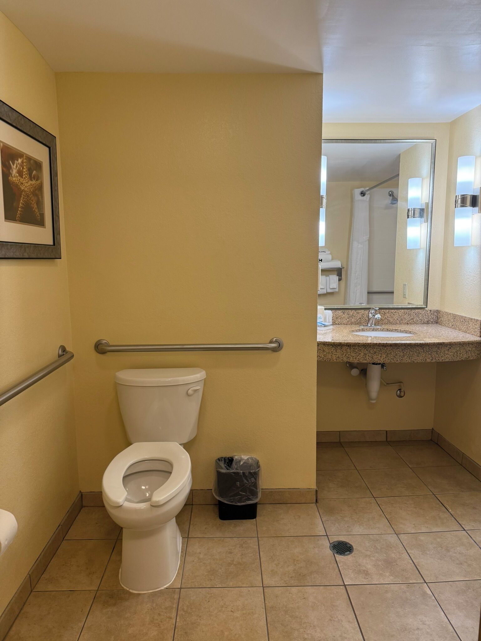 A bathroom with a toilet, a trash bin, a handrail, and a sink with a mirror.