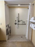 A small, tiled shower area with a grab bar, a towel rack, and a showerhead.