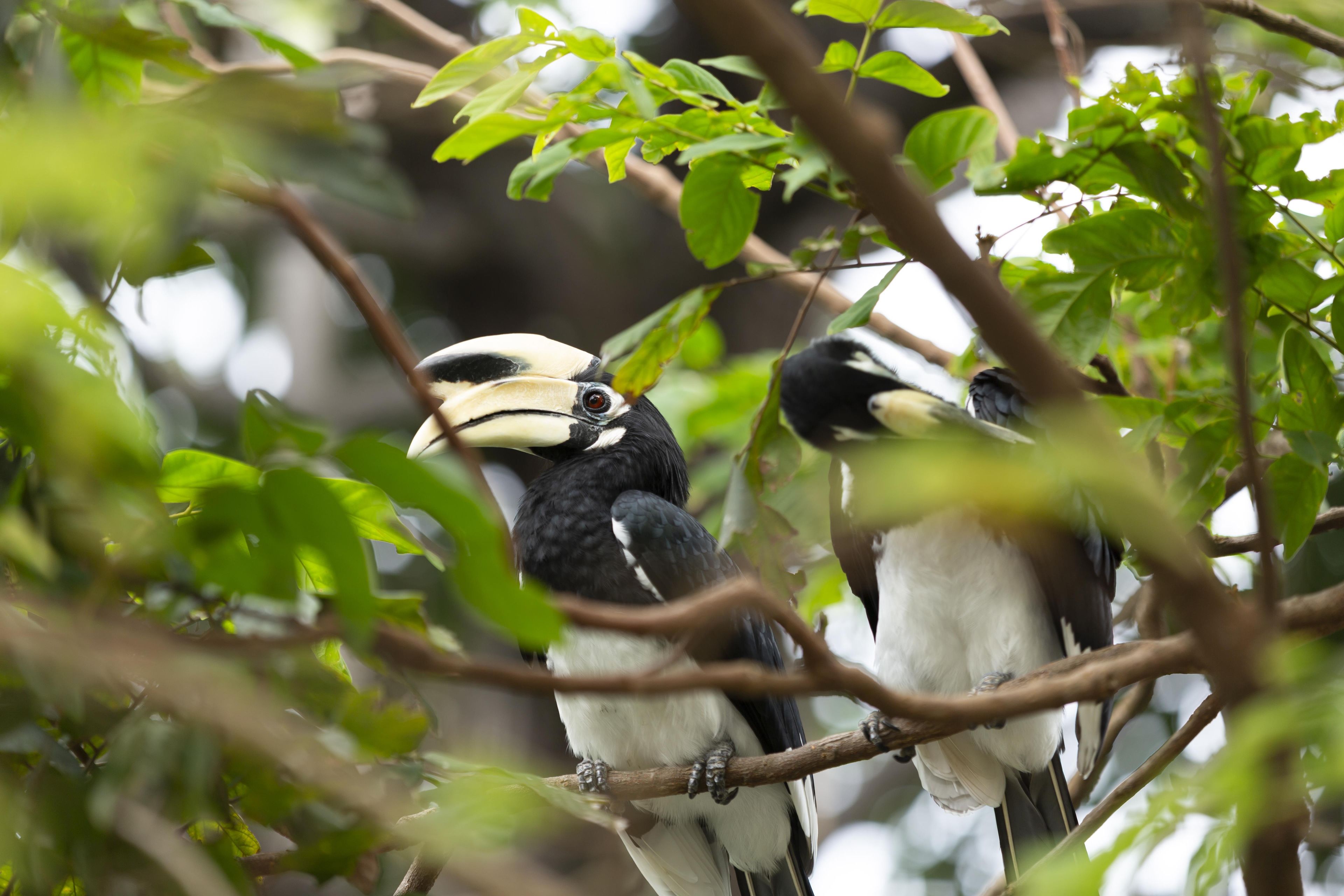 Un oiseau était perché sur une branche.