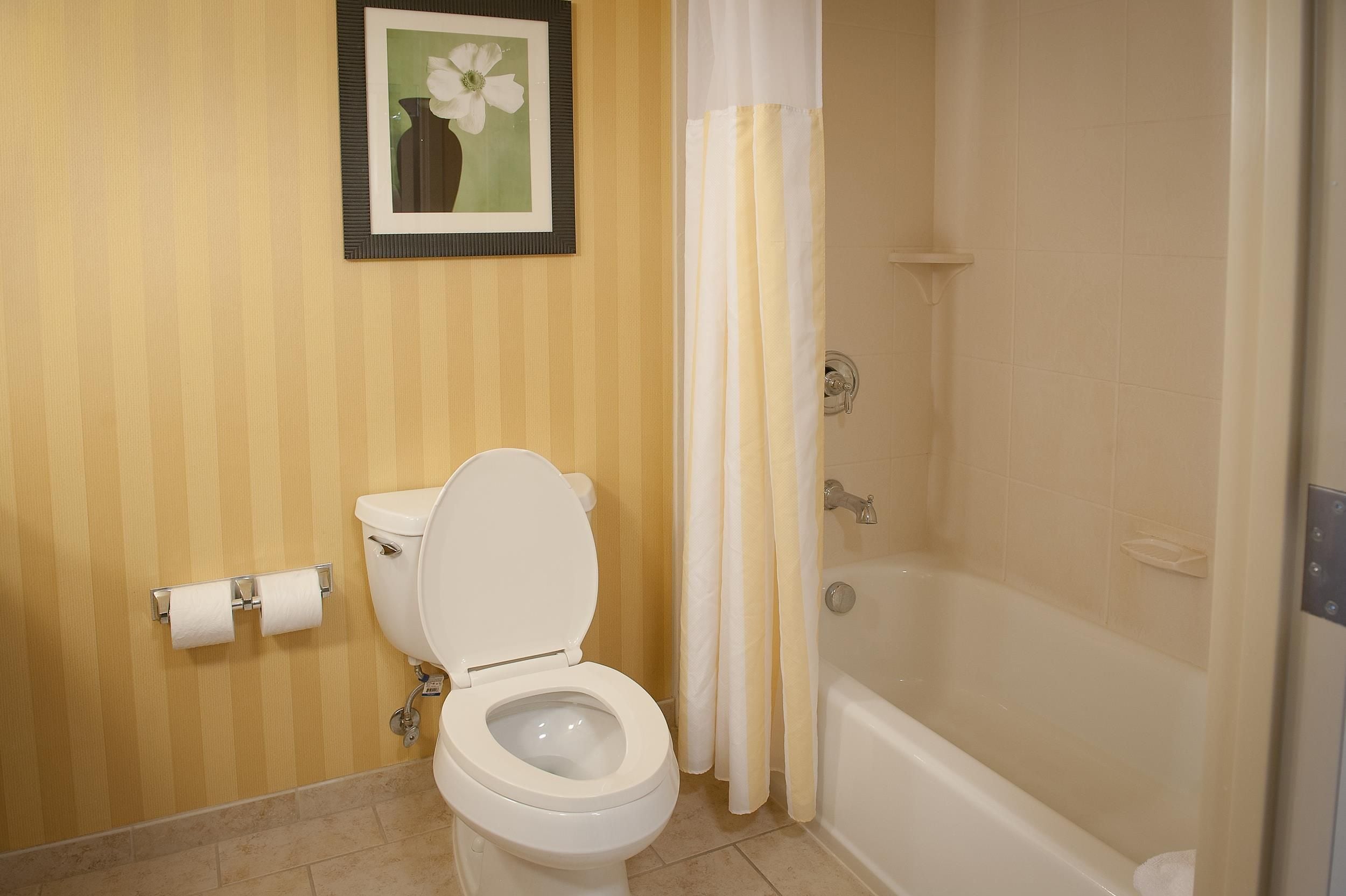 A bathroom with a toilet, a shower curtain, and a bathtub.