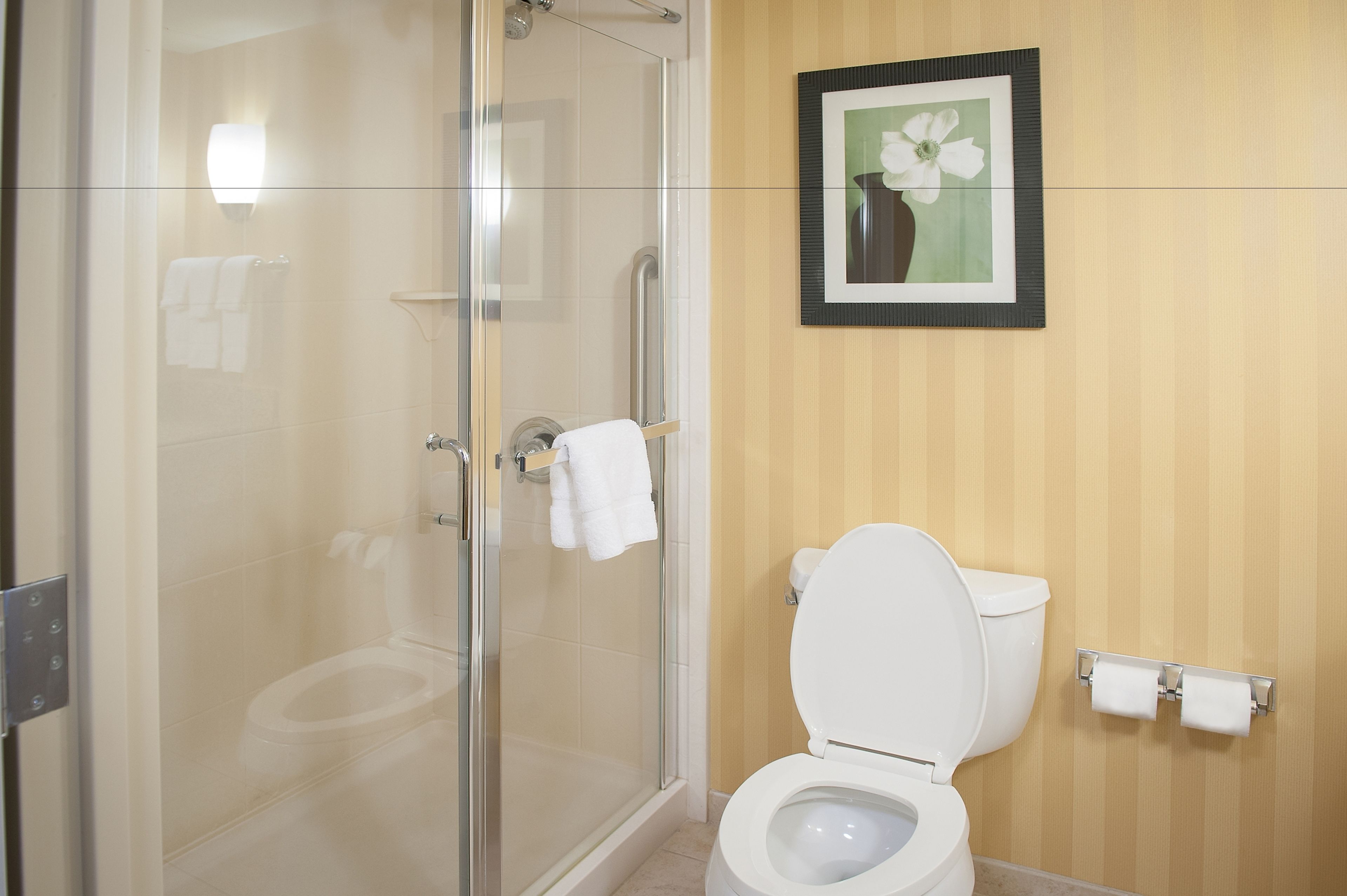 A bathroom with a glass-enclosed shower, a toilet, and a framed picture on the wall.