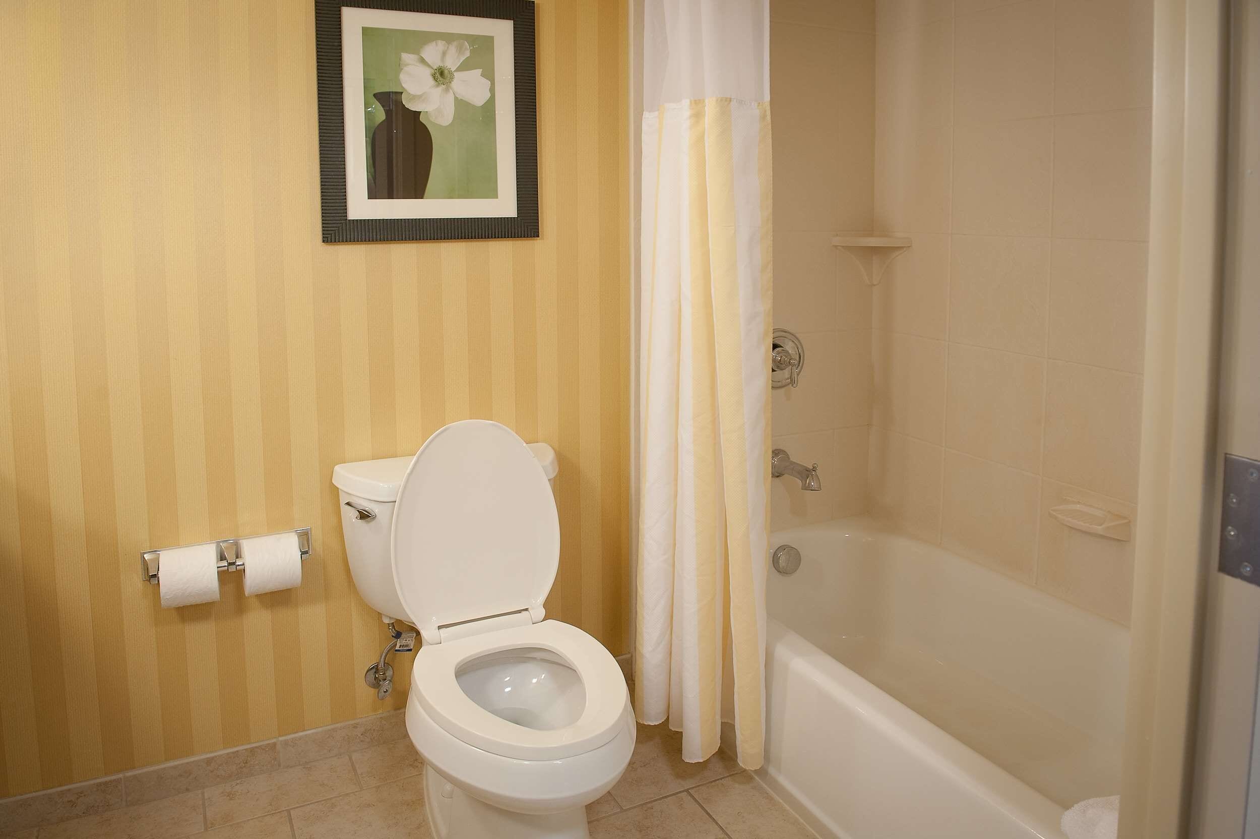 two queens evolution rm | bathroom | free toiletries, hair dryer, towels