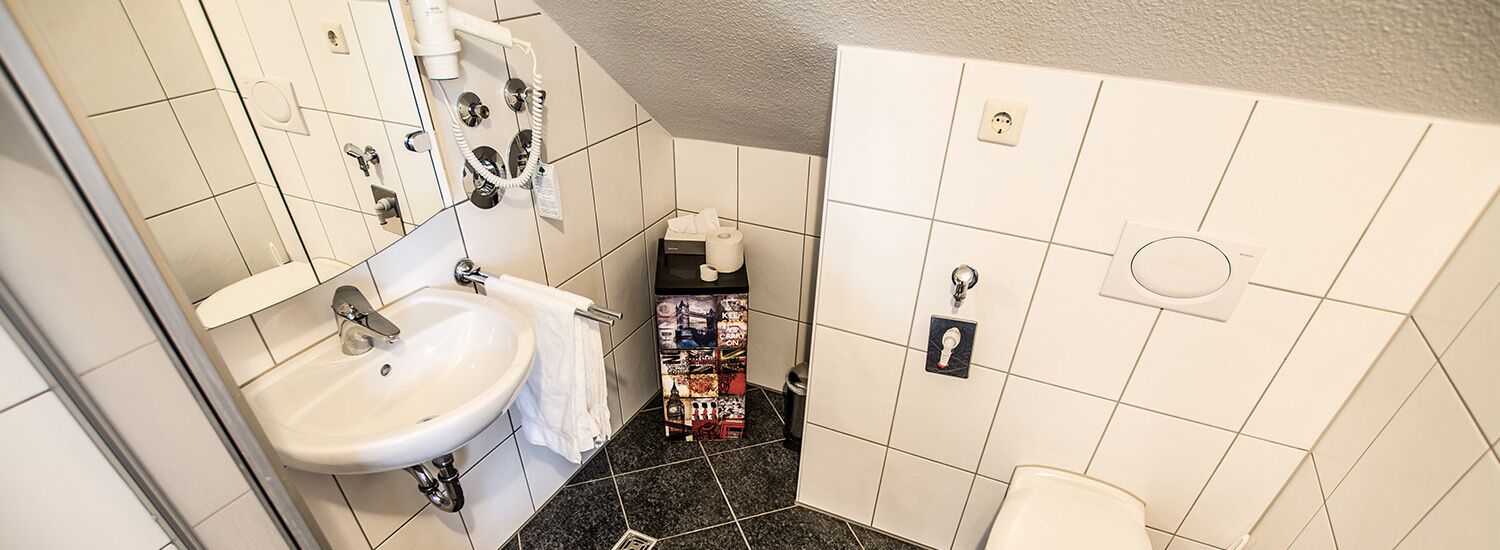 grand double room | bathroom | shower, free toiletries, hair dryer, towels