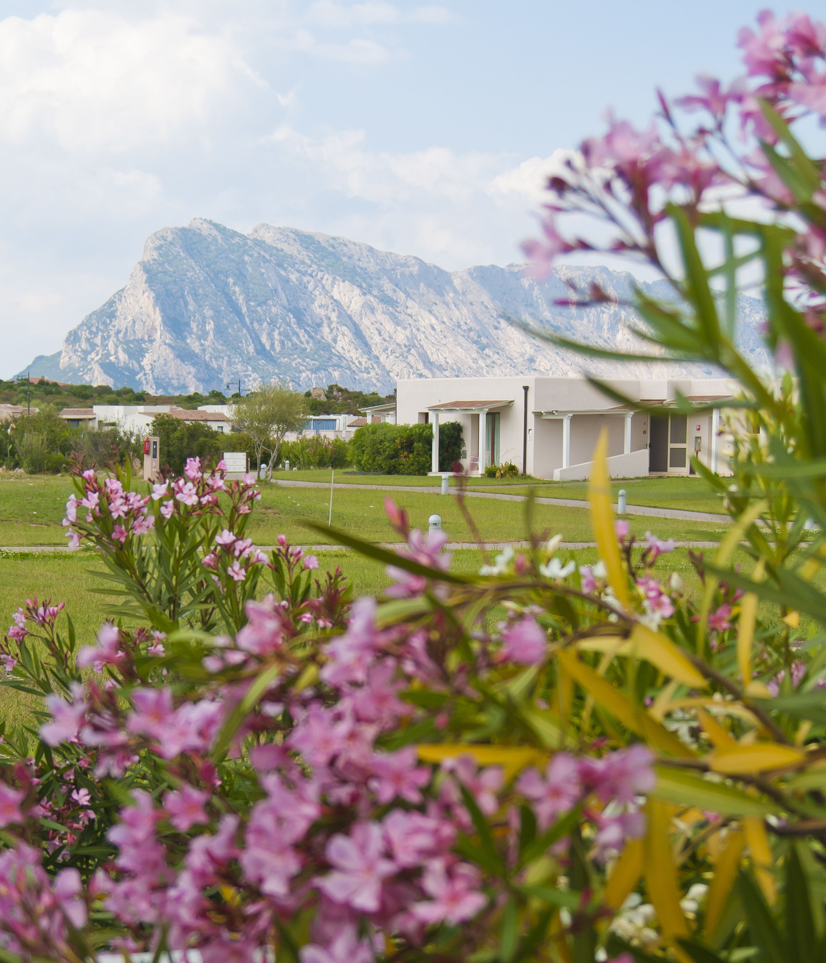 Photo - Grande Baia Resort & Spa