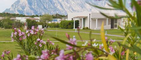 A building with a white exterior and a small porch, surrounded by a grassy area with pink flowers in the foreground.