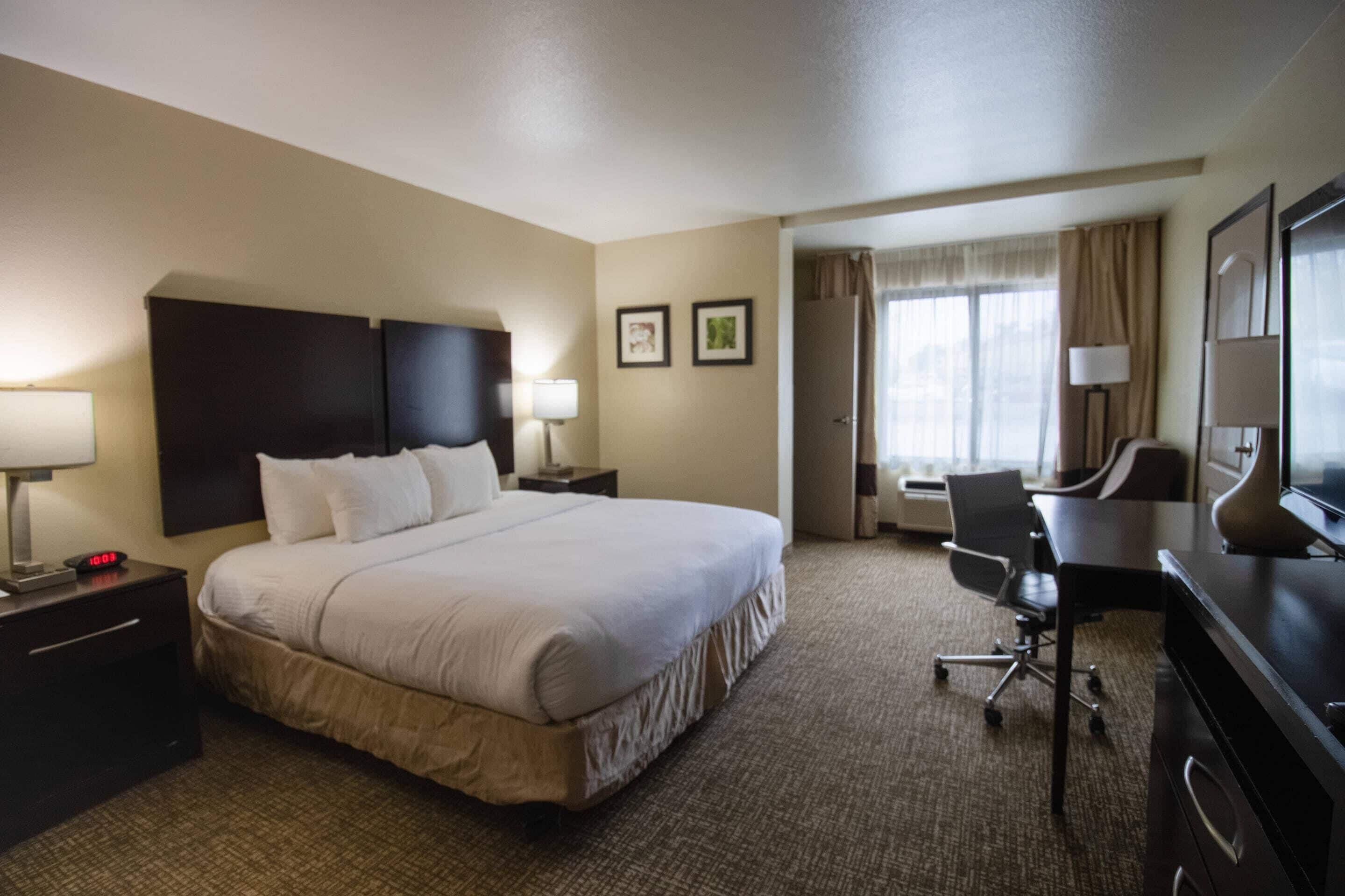 Standard Room, 1 King Bed, Non Smoking | Pillowtop beds, desk, laptop workspace, blackout drapes