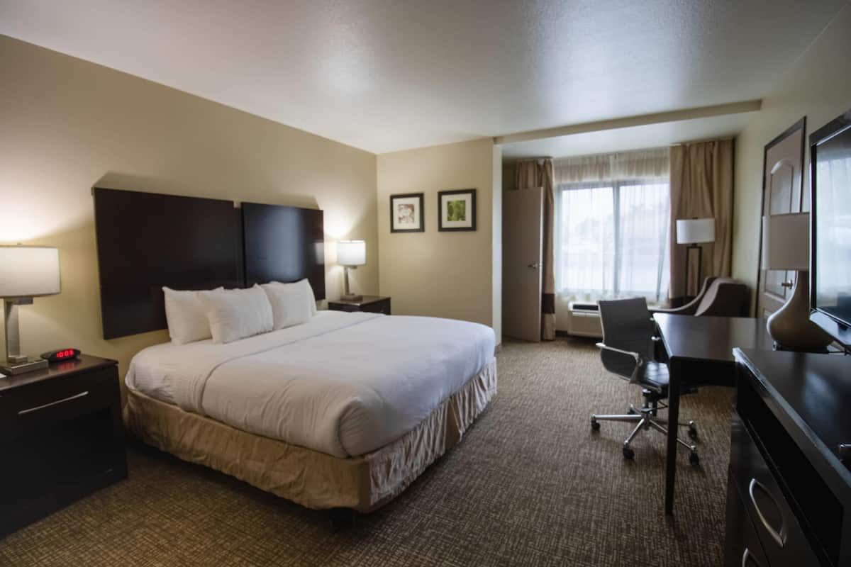 Standard-huone, 1 suuri parisänky, tupakointi kielletty | Pillowtop-patjalliset sängyt, työpöytä