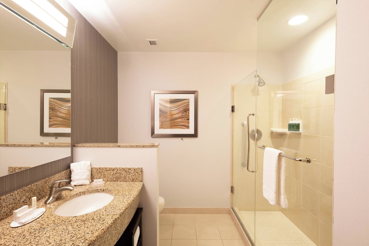 free toiletries, hair dryer, towels, soap