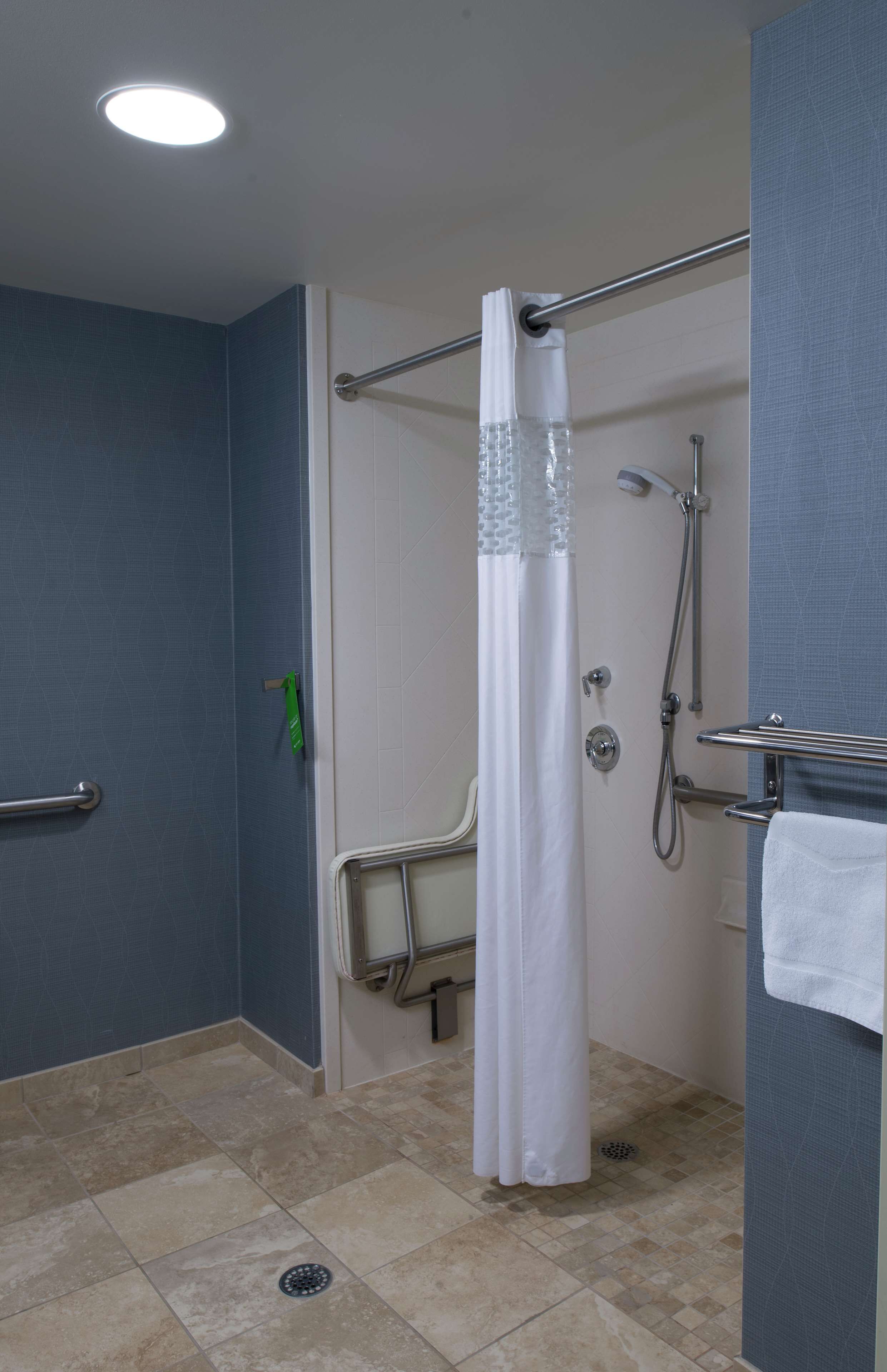 suite, 2 queen beds, accessible, non smoking | bathroom shower