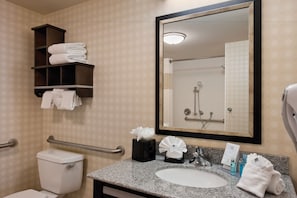 Bathroom features a large mirror, granite countertop, and a white sink with a round toilet lid.
