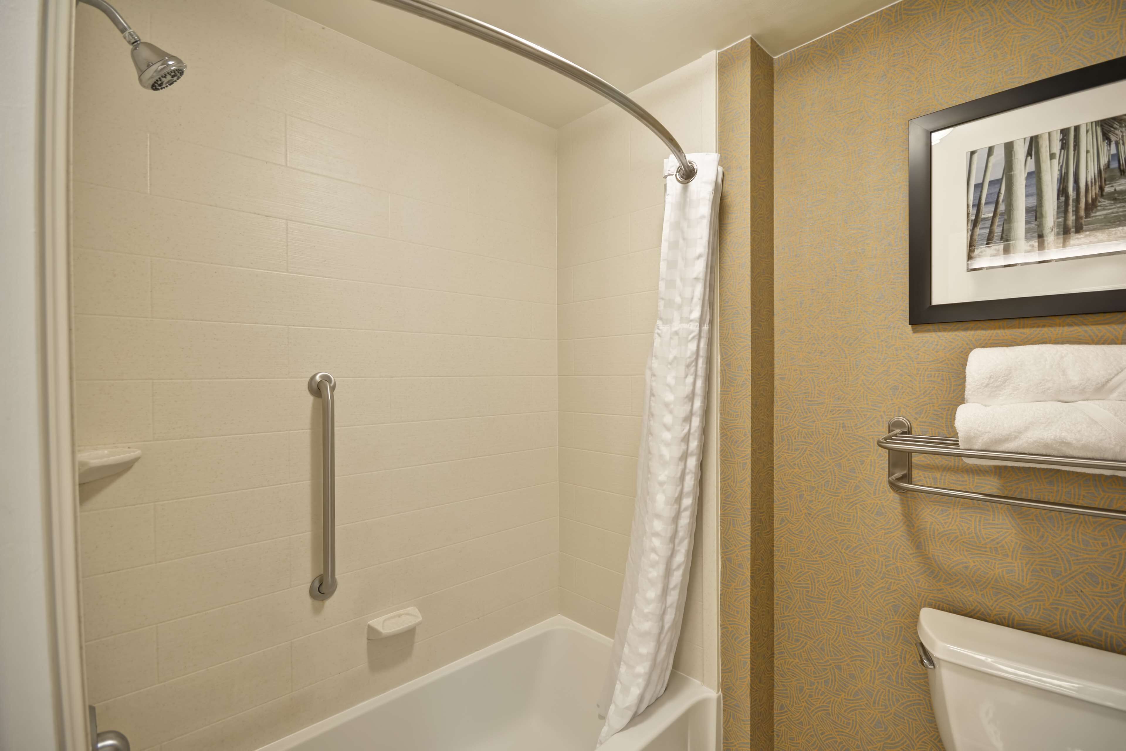 A bathroom with a shower, a grab bar, a towel rack, and a framed picture on the wall.