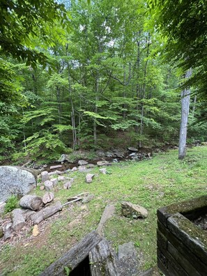 A forested area with a stream, rocks, and wooden logs. - Cabin Creekwood (Lyndhurst)