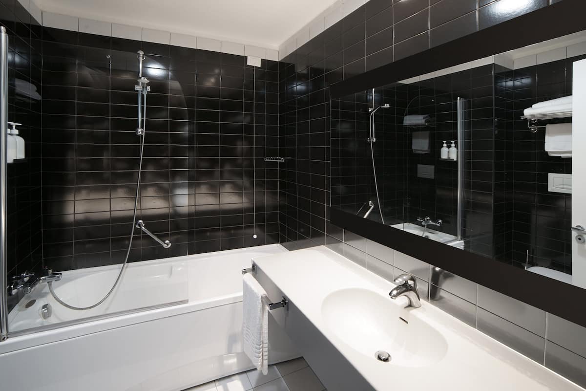 combined shower/bathtub, hair dryer, bidet, towels