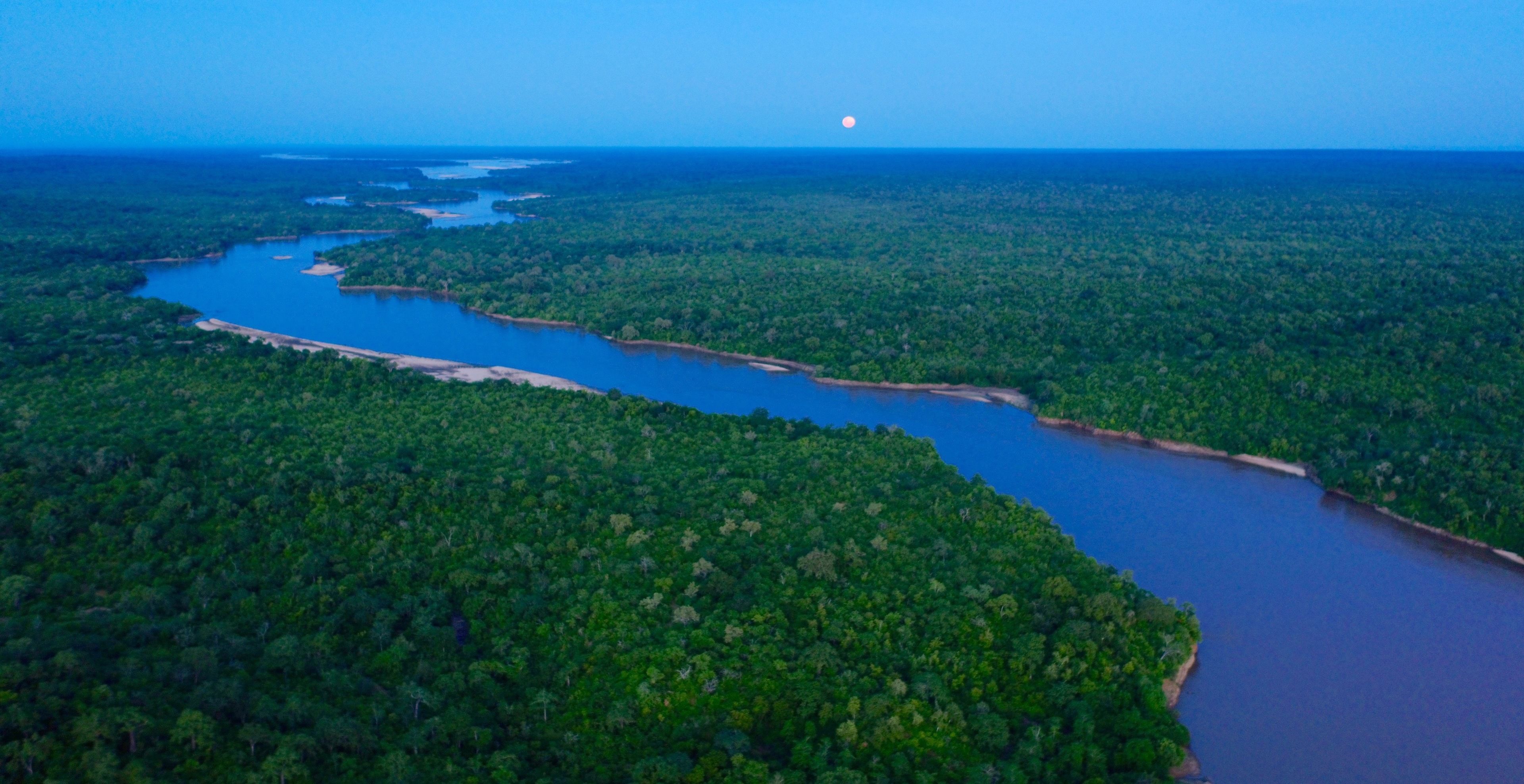 Vista aérea de un río serpenteando a través de un bosque denso con una luna en el cielo.