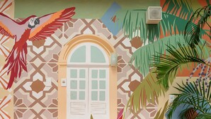 A room with a patterned wall, a window with shutters, a wall socket, and a plant. - ibis Styles Manaus (Manaus)