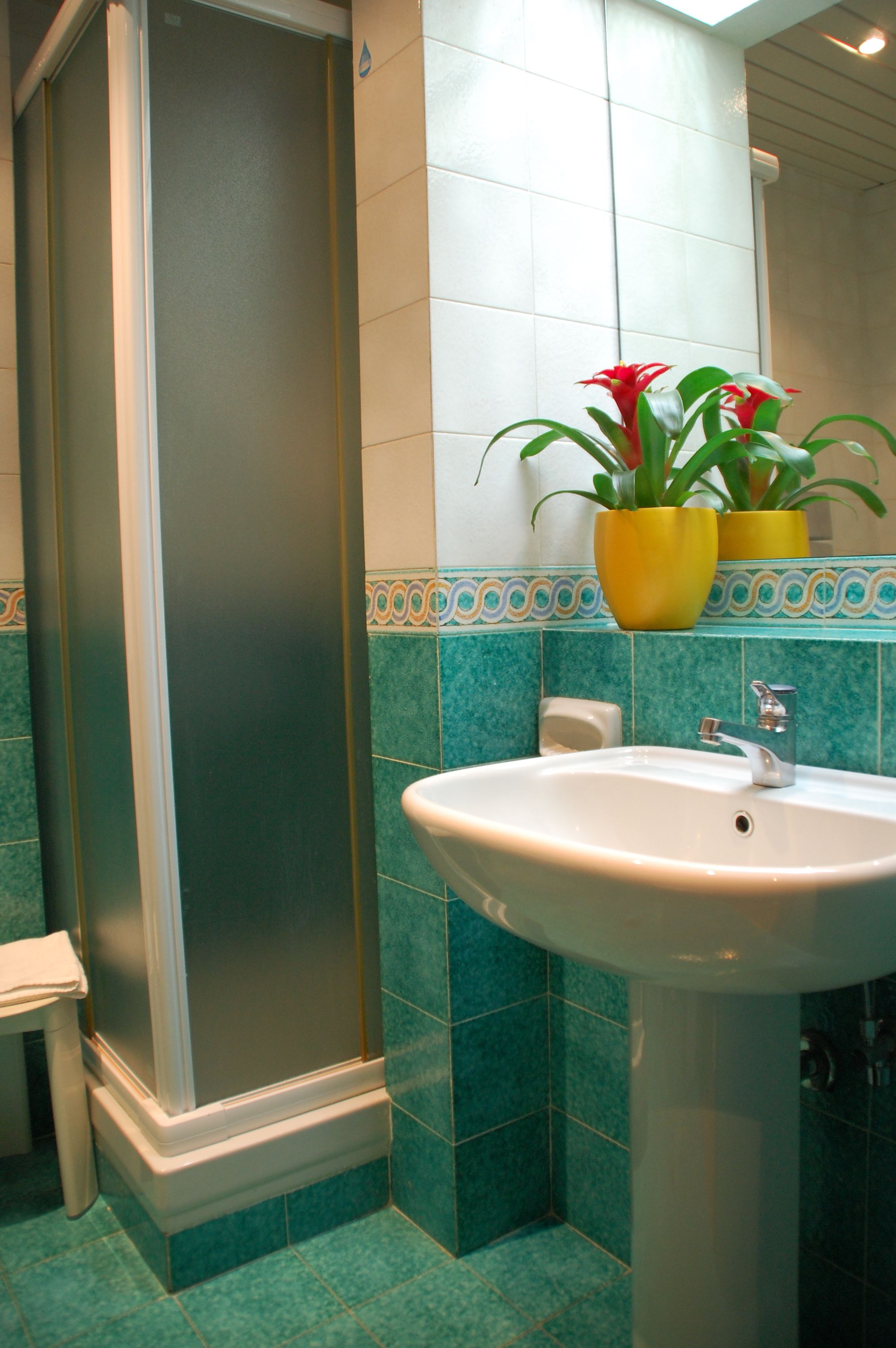Un baño con ducha, lavamanos y dos plantas en macetas.