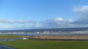 Enjoy a serene ocean view from a scenic beach with a grassy area and paved walkway.