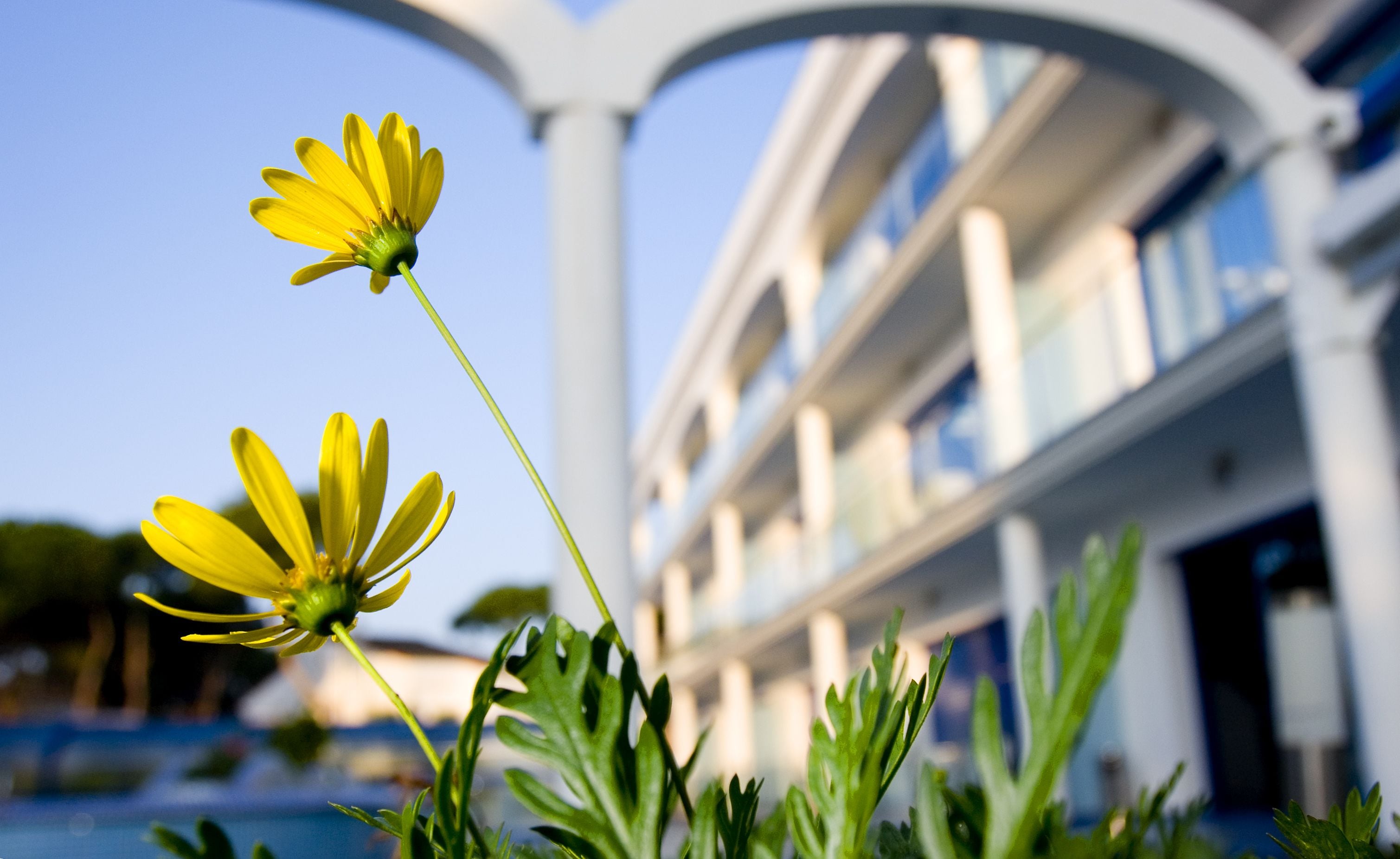 A building with a modern architectural style, featuring a prominent balcony and a pool area in the background.