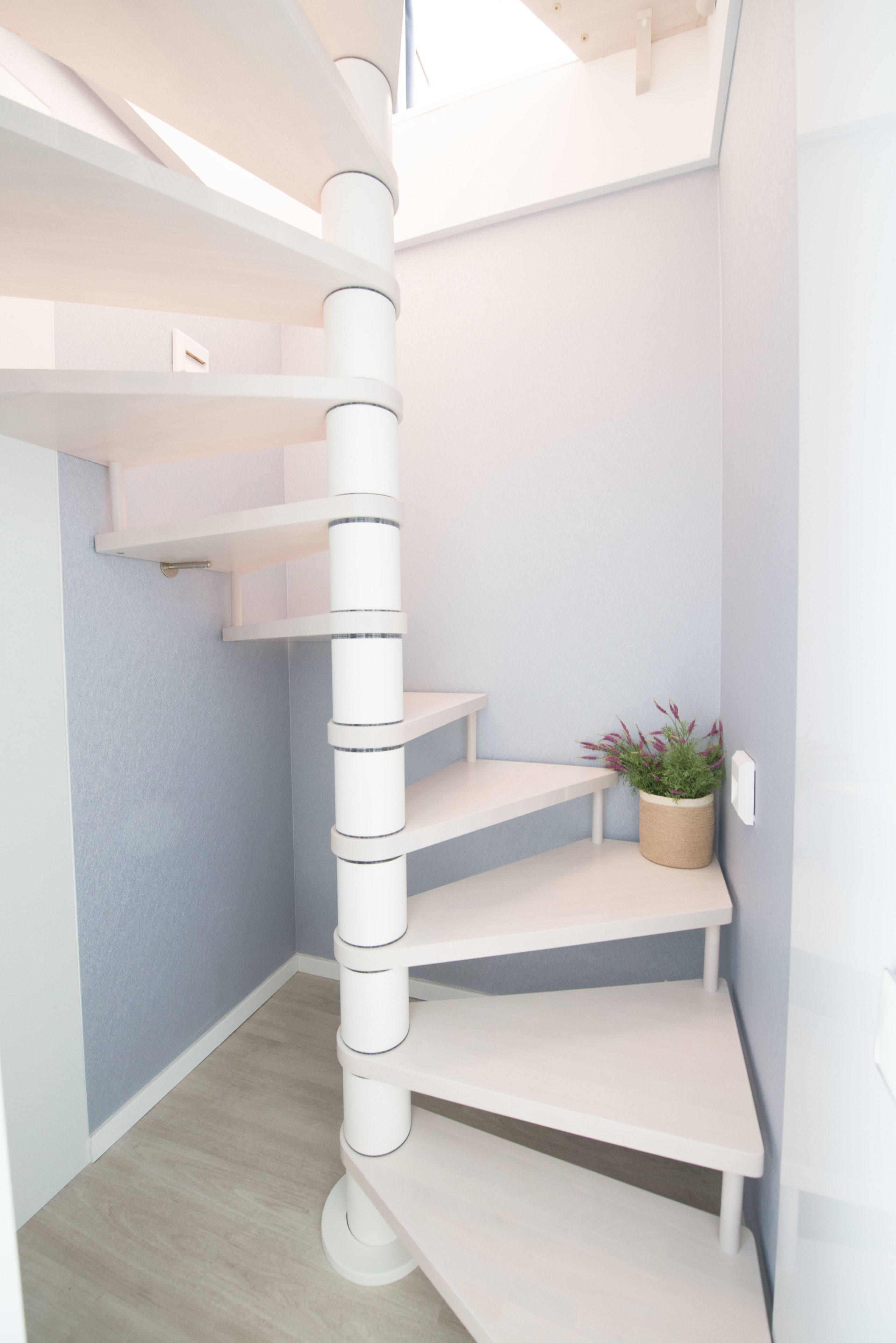 A corner of a room with a white spiral staircase, a small potted plant, and a light blue wall.