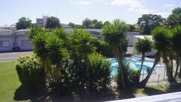 A swimming pool surrounded by palm trees and greenery, with buildings in the background.