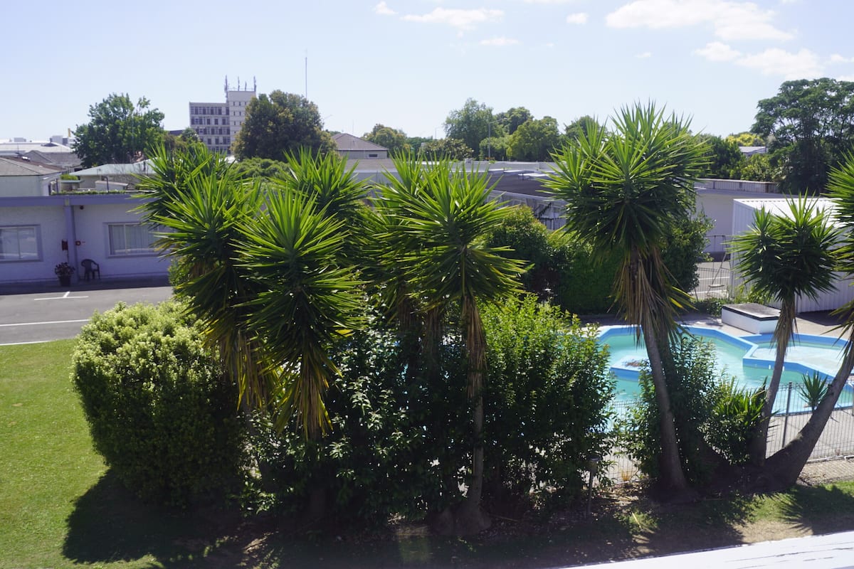 A swimming pool surrounded by palm trees and greenery, with buildings in the background.