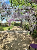 Jardín