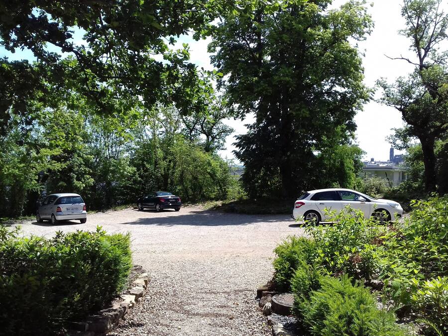 A gravel driveway leading to a parking area surrounded by lush greenery and trees.