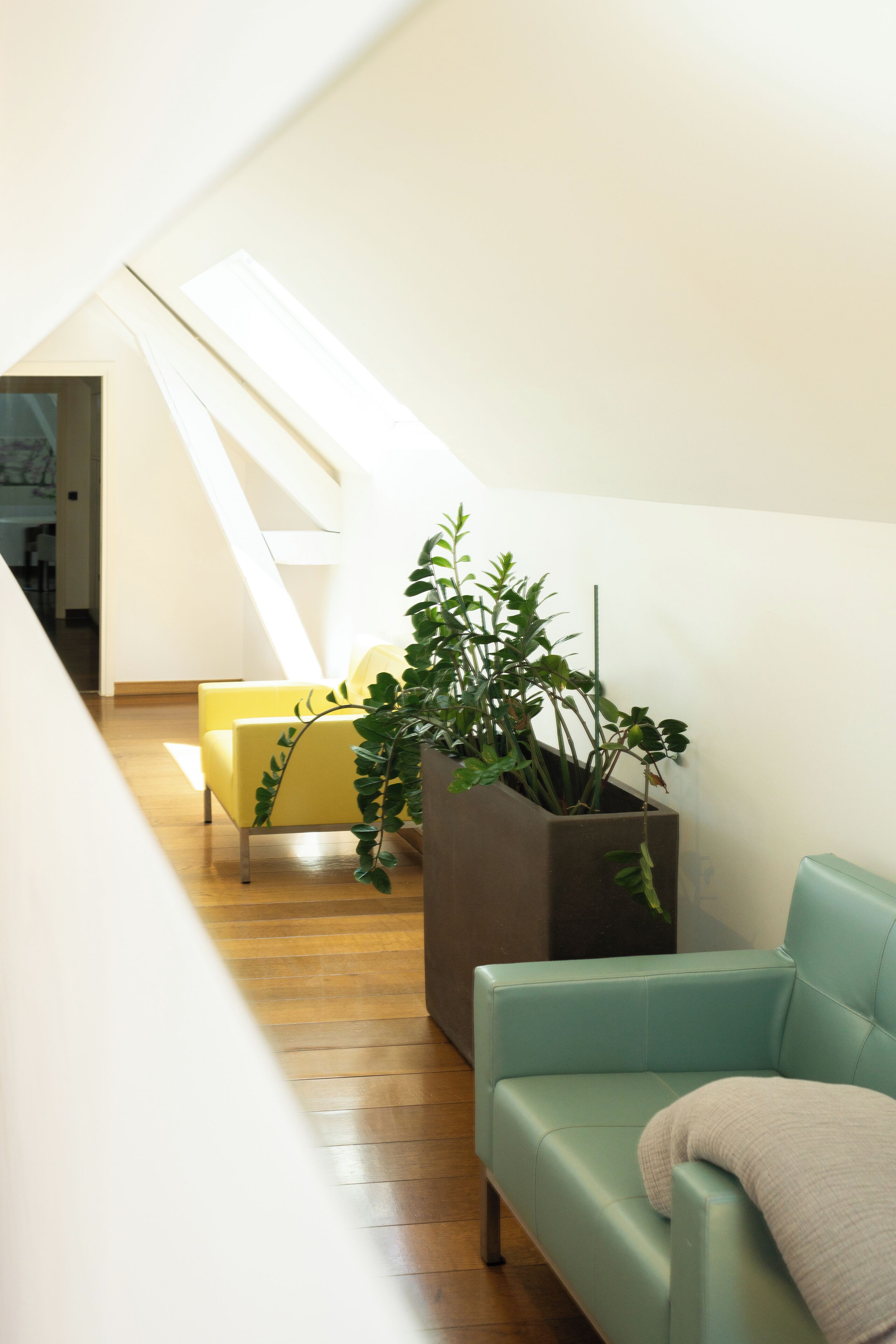Ein modernes Loft mit schrägen Wänden, einem türkisfarbenen Sofa, einem gelben Sessel und einer großen Topfpflanze.