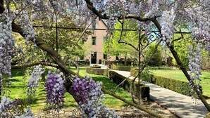 A garden with wisteria vines, a pathway, and a building in the background. - La Ferme de Bourran (Rodez)