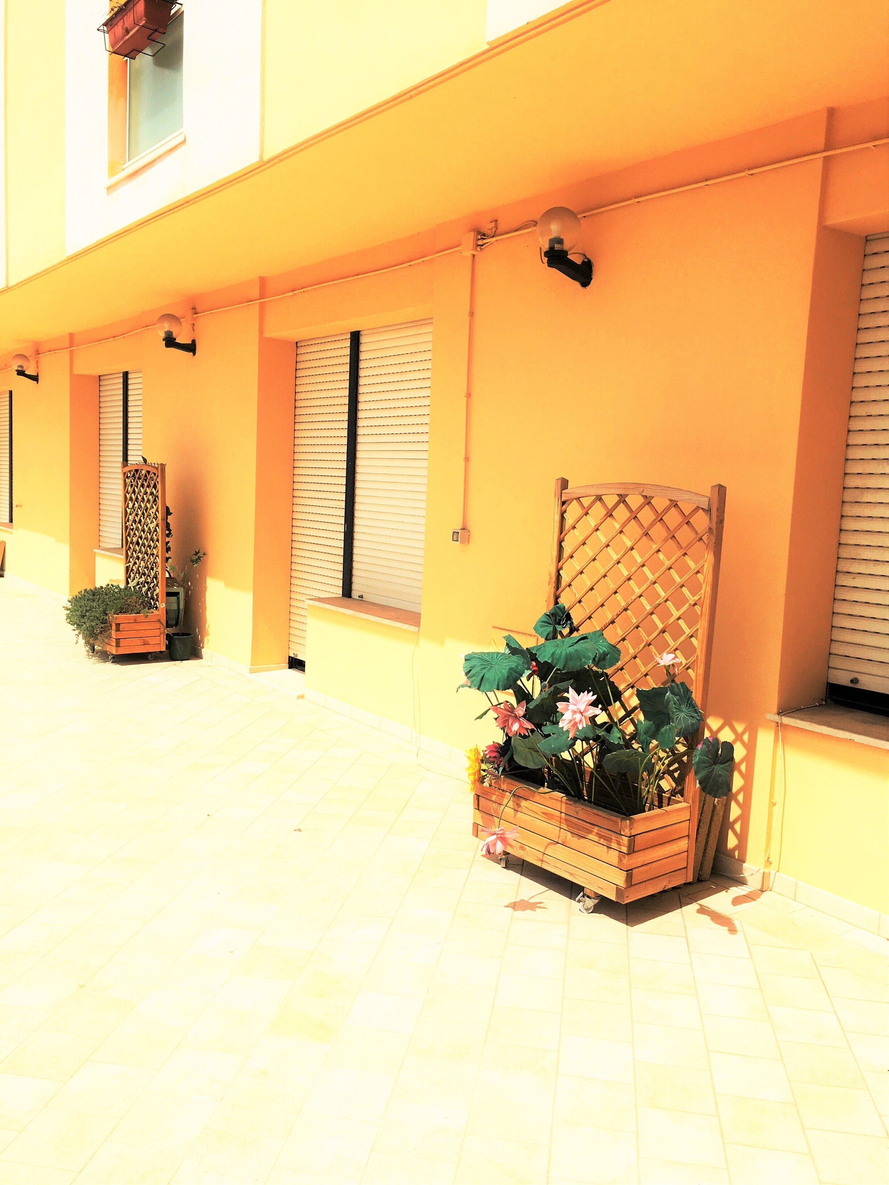 Camera Economy con letto matrimoniale o 2 letti singoli | Terrazza/patio