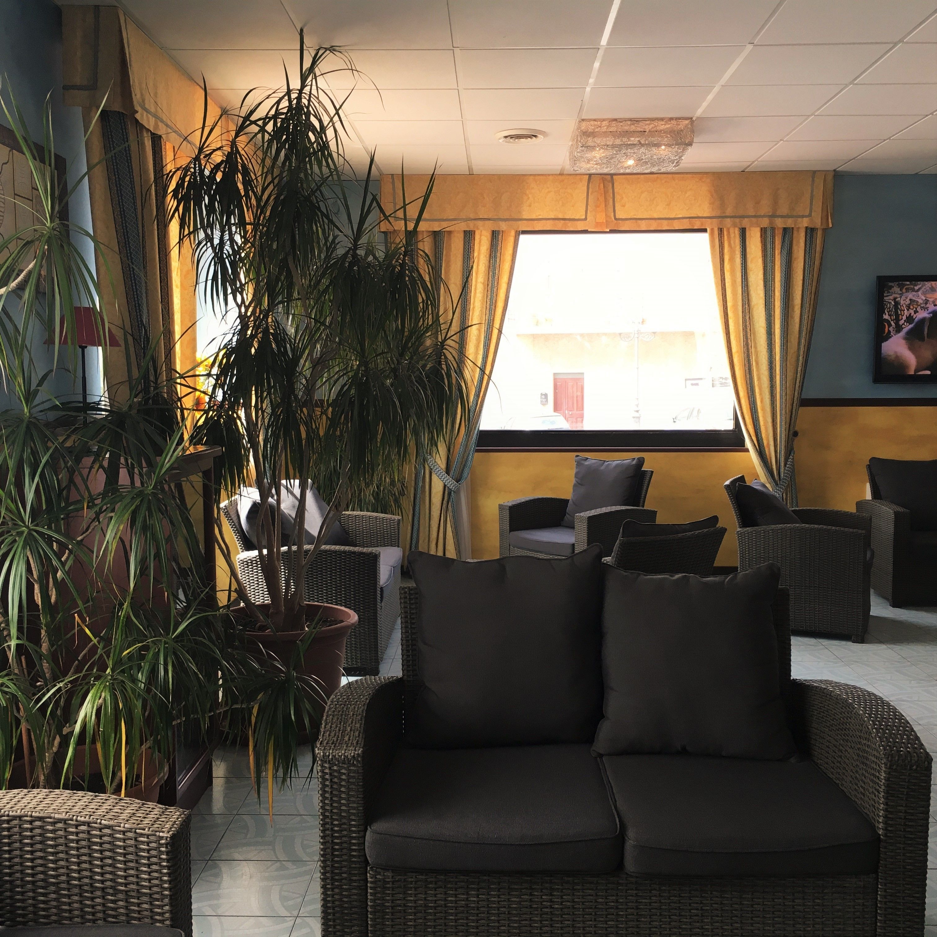 Ein Zimmer mit Korbmöbeln, einer Topfpflanze und Blick ins Freie.