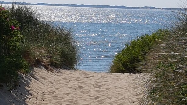 Un camí de sorra que porta a la mar, flanquejat per vegetació verda.