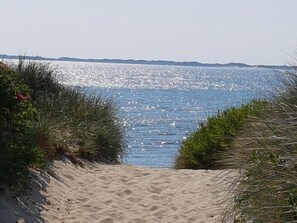 A sandy beach path leading to the sea with grassy vegetation on either side. - Hotel garni Zur Post (Utersum)