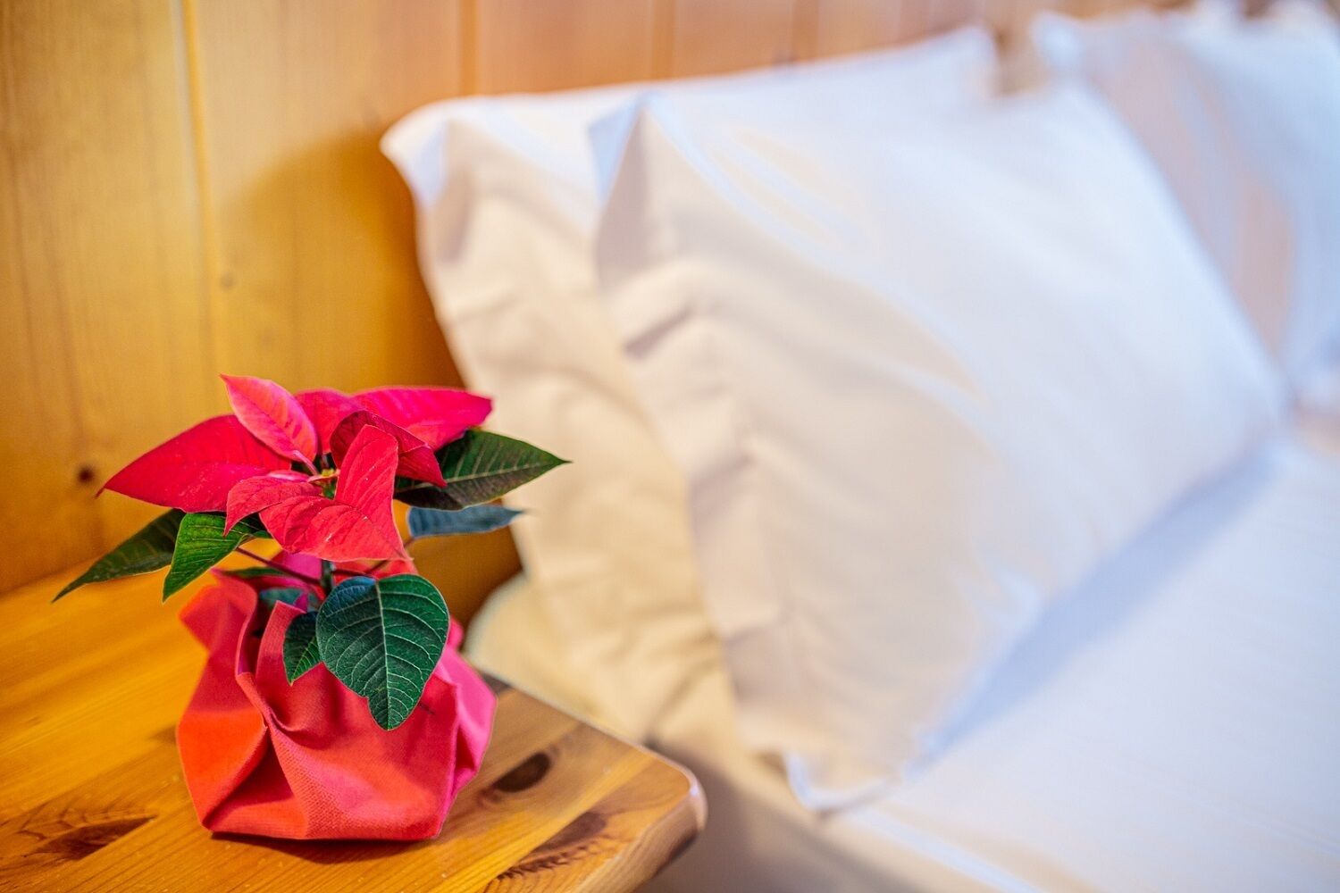 down duvets, in-room safe, desk, free wifi