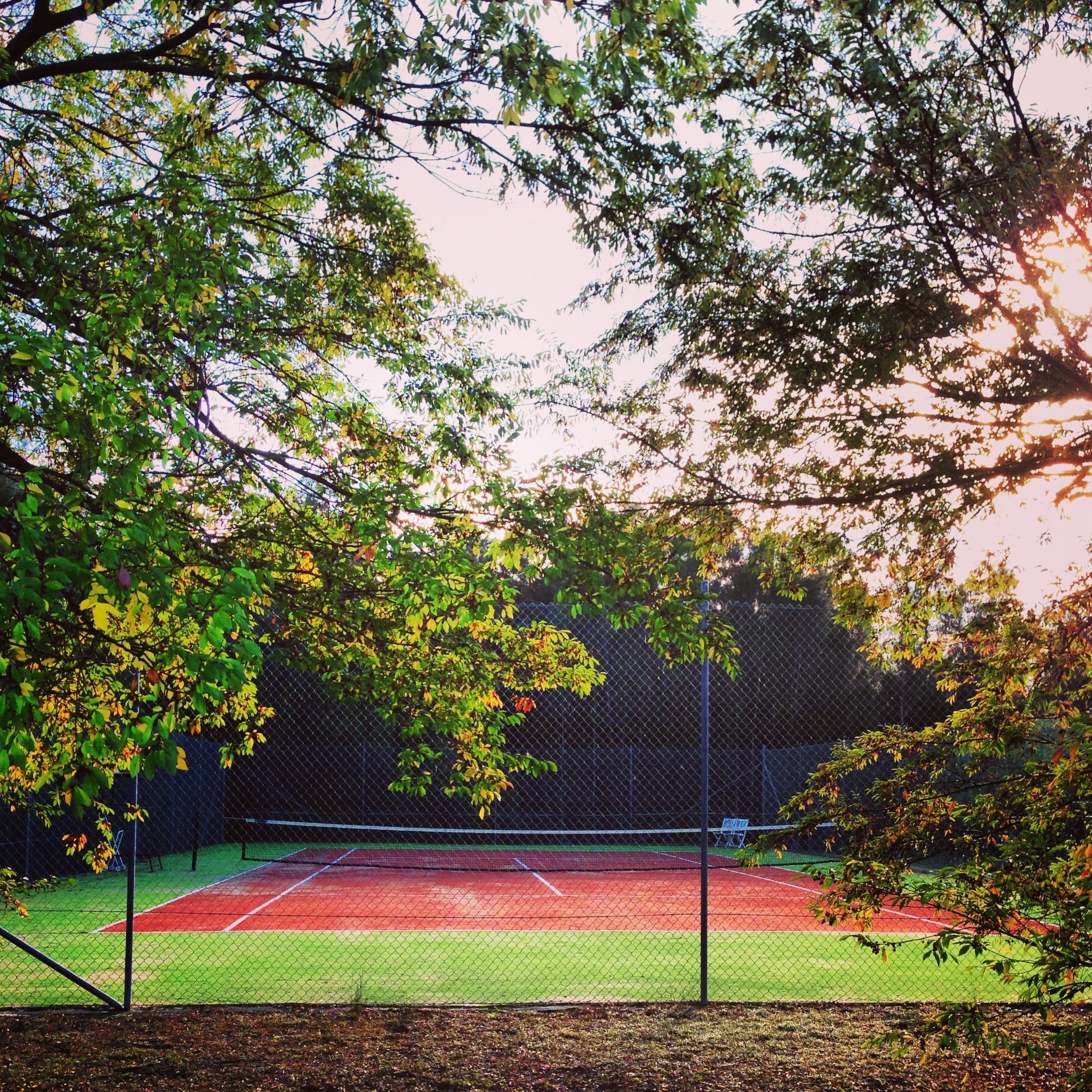 A tennis court surrounded by trees and a chain-link fence.