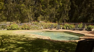 Seasonal outdoor pool, pool loungers