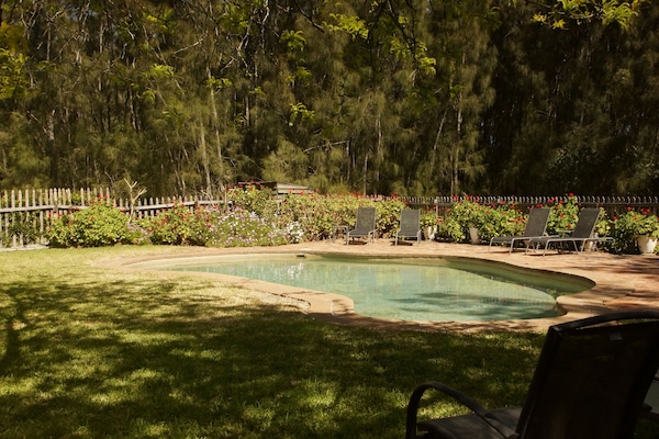 Seasonal outdoor pool, pool loungers