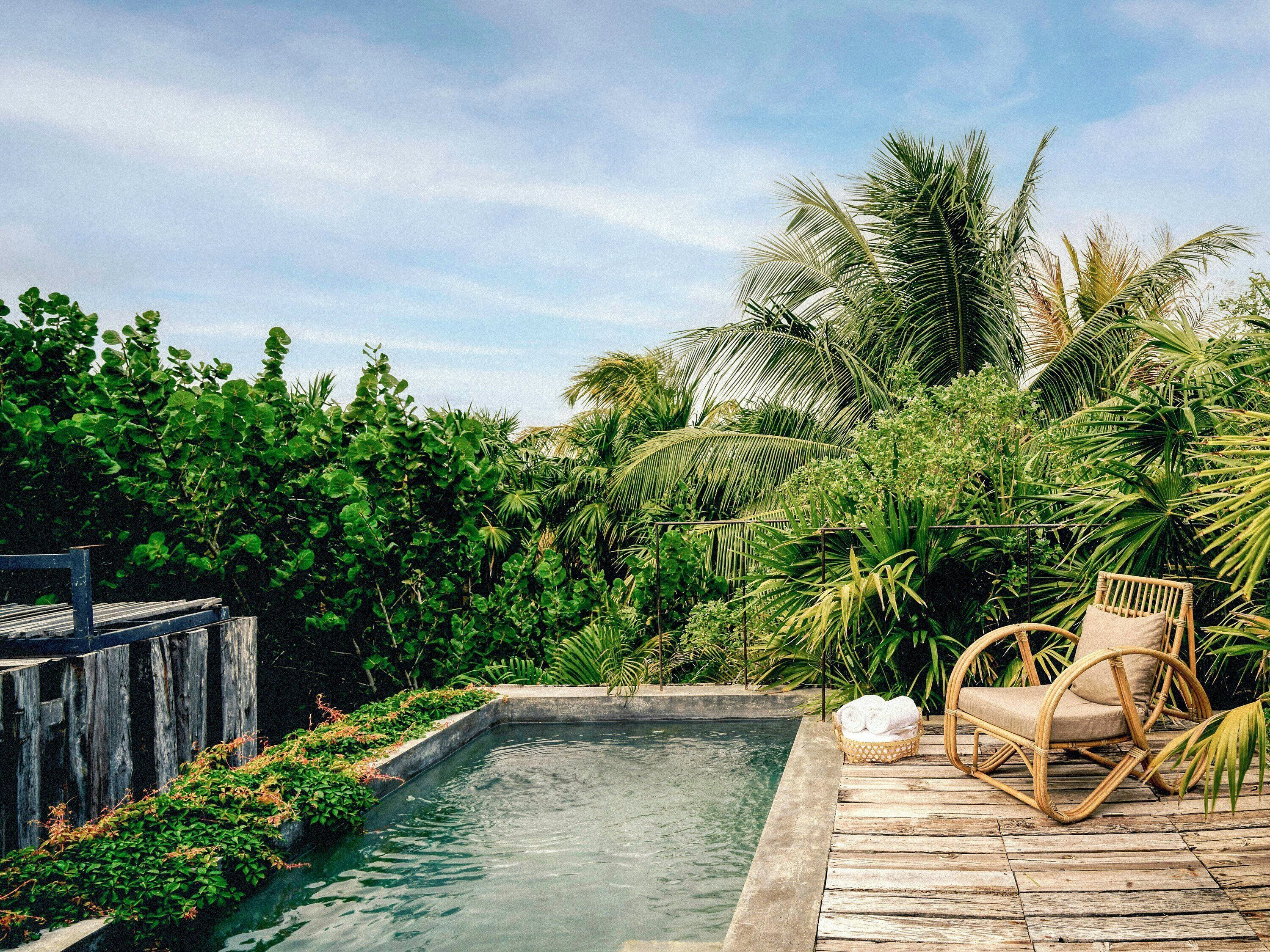 Um deck de madeira com uma piscina pequena, cercado por vegetação exuberante e uma cadeira de vime.
