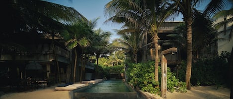Outdoor pool, sun loungers