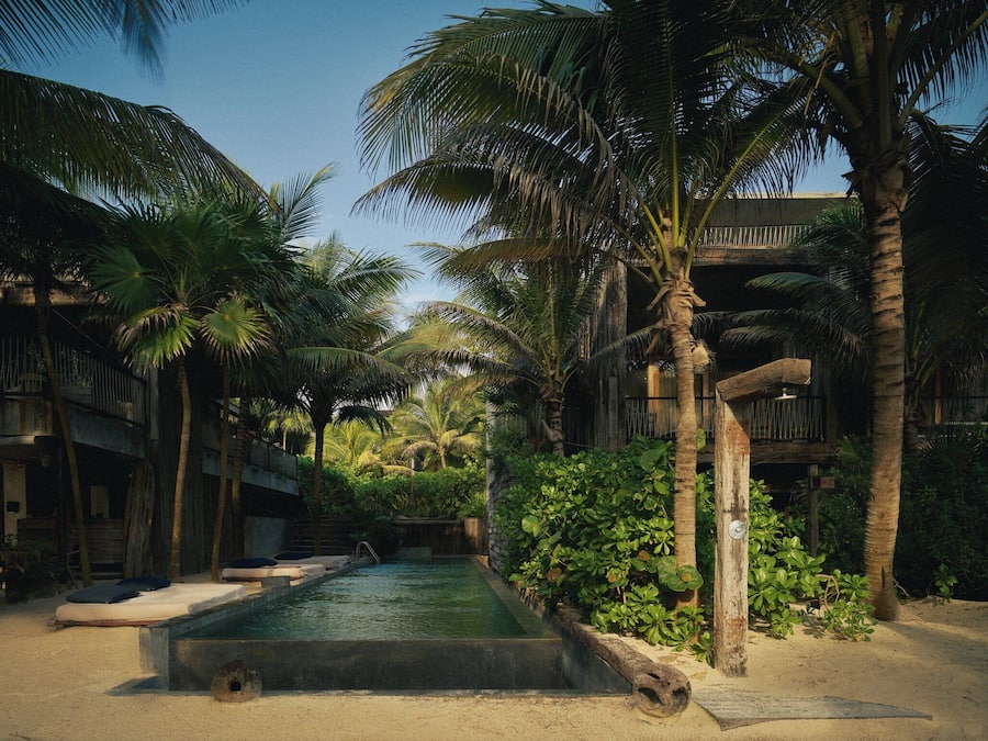 Outdoor pool, sun loungers