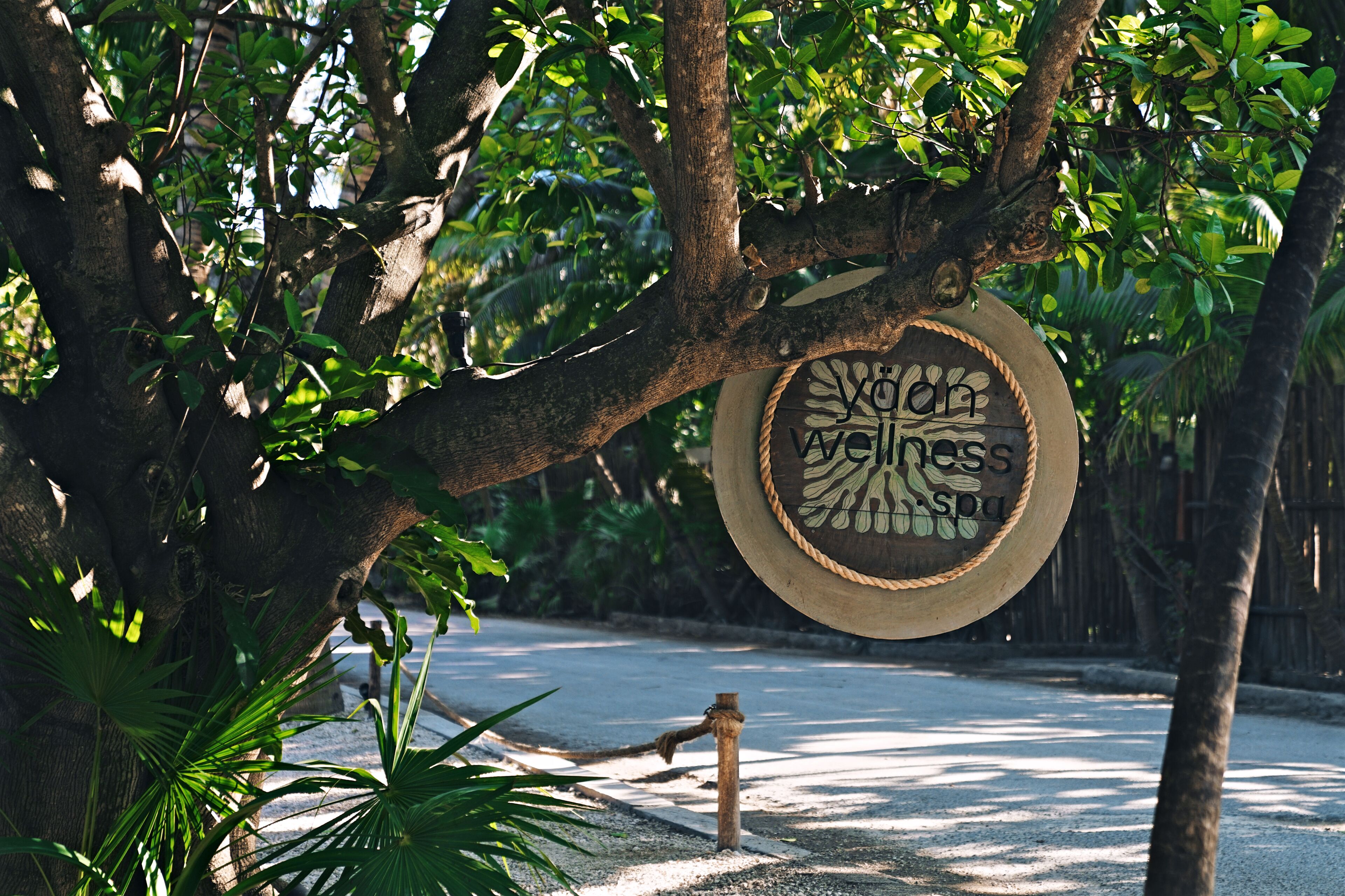 Photo - BE Destination Tulum